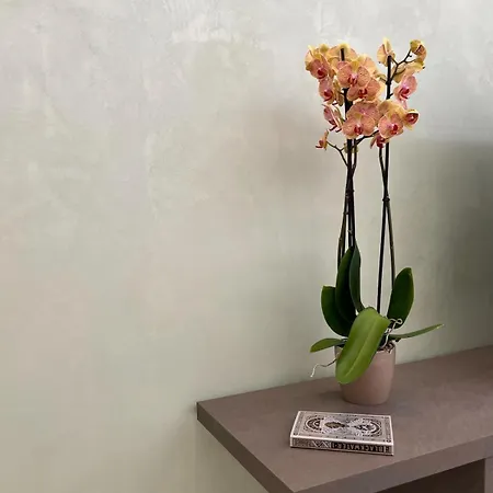 Casa Di Faby - Welcome